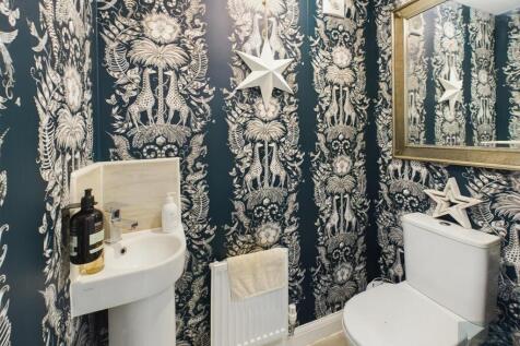 CAM02558G0-PR0203-ST