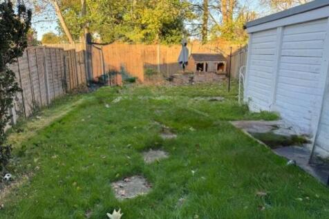 Picture 7