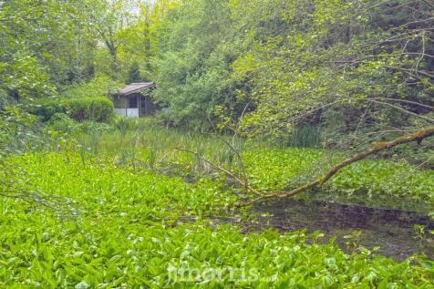 Property Image 61