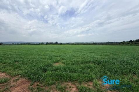Surrounding Farmland