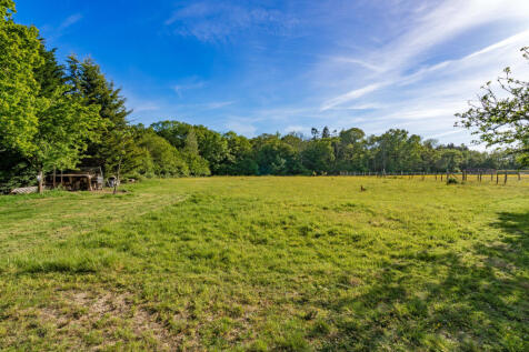 Field