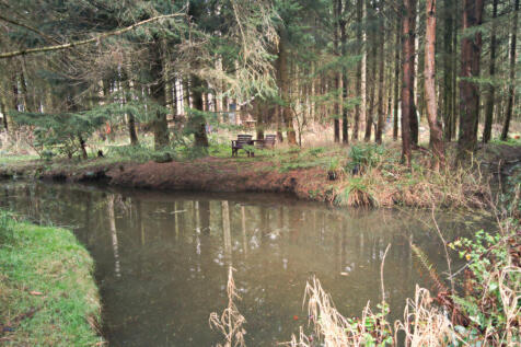 Copy of pond 5
