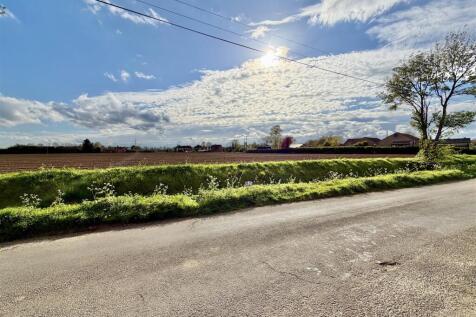 field views
