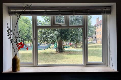 view window