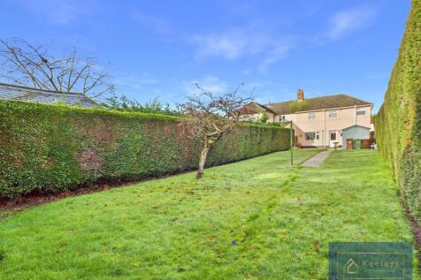 Back Garden