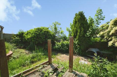 Back Garden