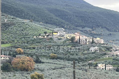 Panorama e Particolari