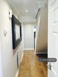 Entrance Hall Way (Downstairs)