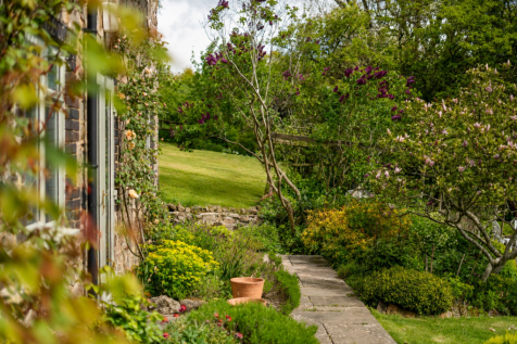 Property Image 58