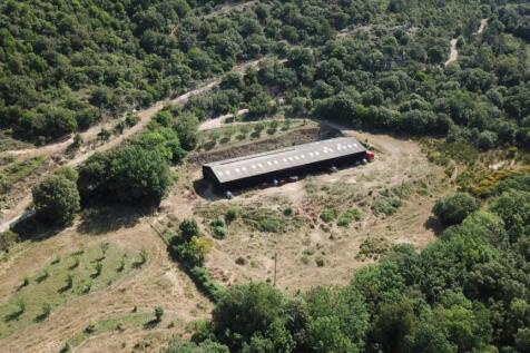 Hangar 650 m²