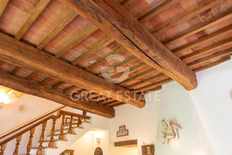 Panorama e Particolari