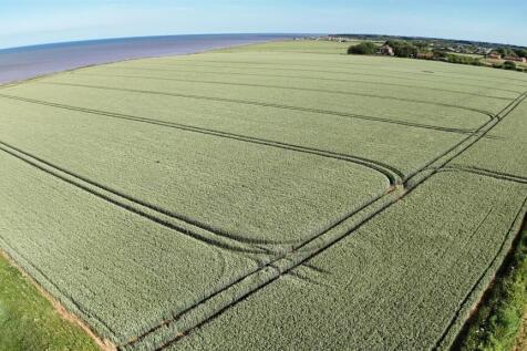 DJI_20260619173459_0042_D.JPG