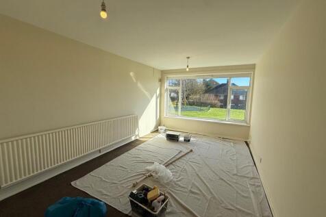 IMG_9155.jpeg