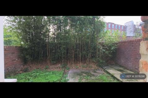 Back Garden