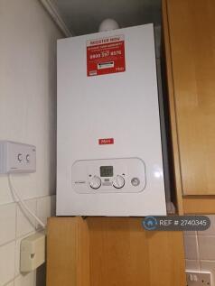 1 Yr Old Boiler