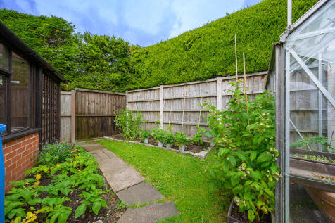 Vegetable Garden