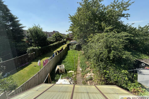 image00010.jpeg