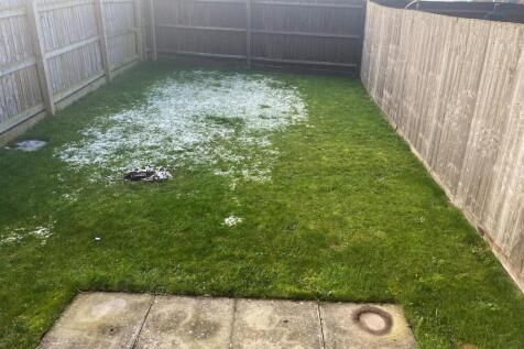Rear Garden.jpg