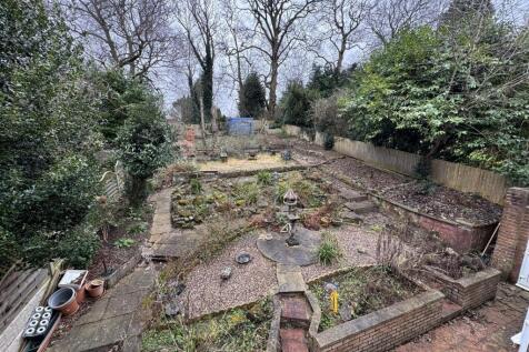 IMG_5292 (Large).JPG