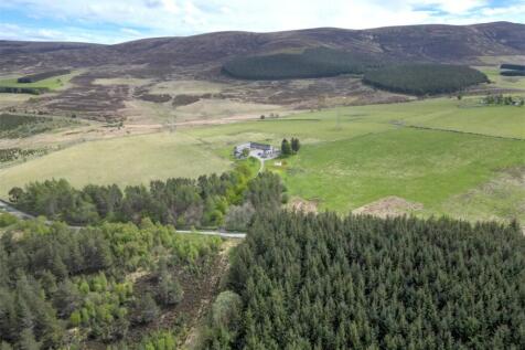 Claggersnich - Lot 1