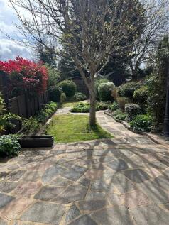 New Road - Garden.jpg