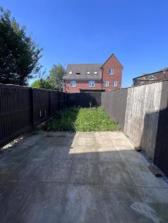 Back garden
