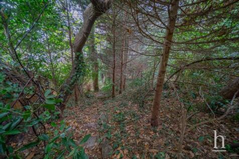 Property Image 35