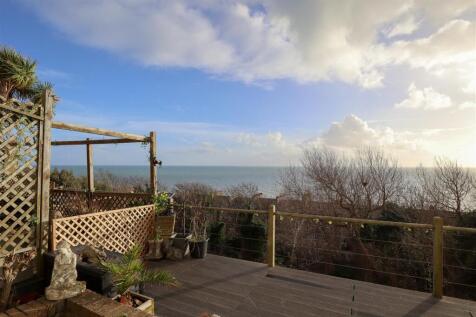 Rear Courtyard garden