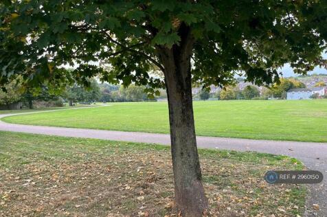 Nearby Park