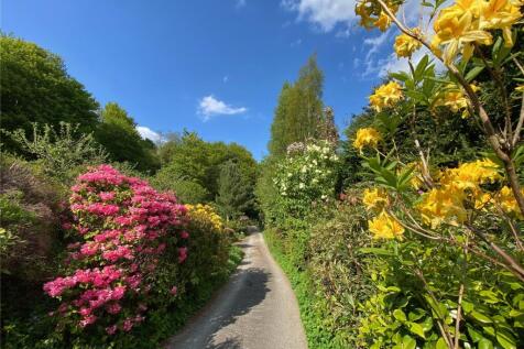Garden In Summer
