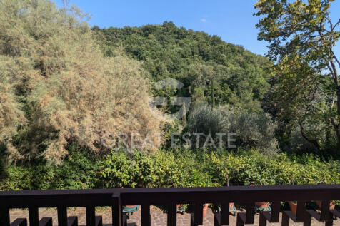 Panorama e Particolari