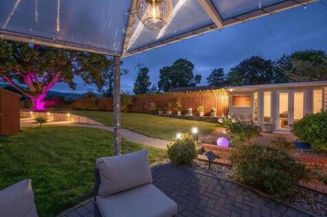 Back Garden Night