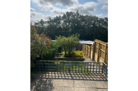 BackGarden.png