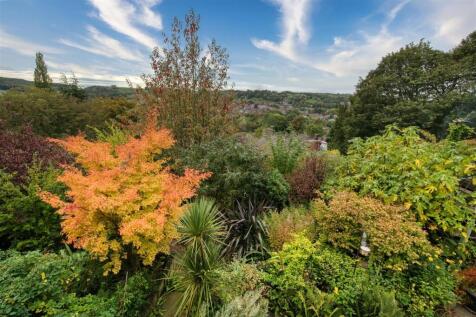 View from first floor landing window.jpg