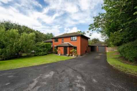 Property Image 44