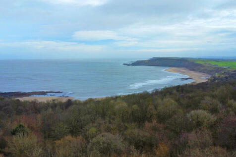 dji_fly_20260220_...