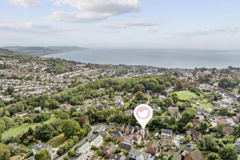 DJI_0183 pion