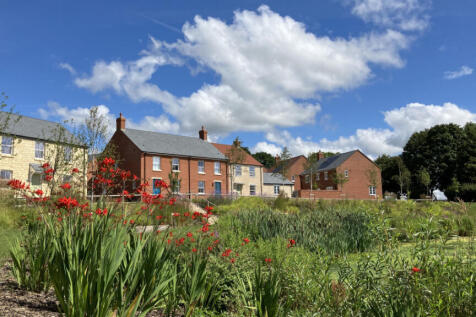 Plot image