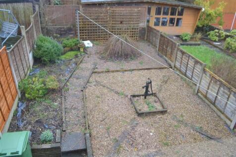 garden.JPG