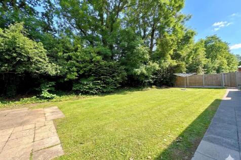 garden 2.jpg