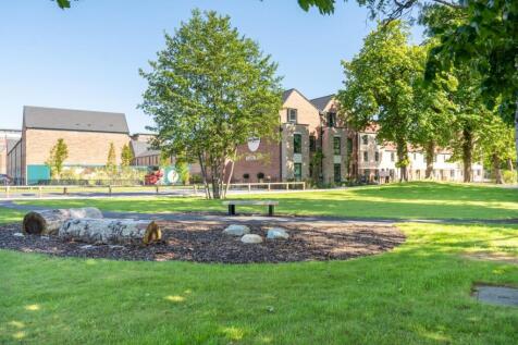 Site General 3 (2).jpg