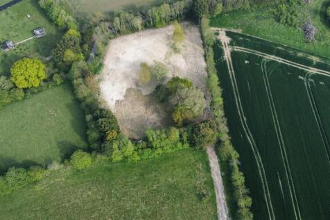 dji_fly_20250426_163202_43_1745682169556_photo_opt