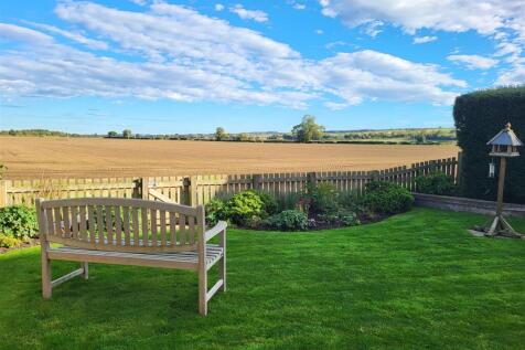 Garden and View