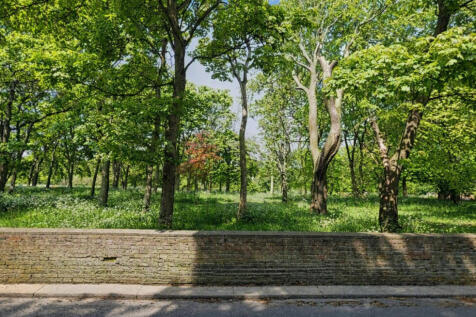 Views of Backhouse Park