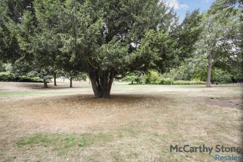 Local Park
