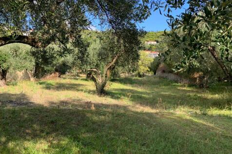 Terrain &amp; landscape