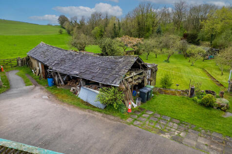 Wood shed with pl...