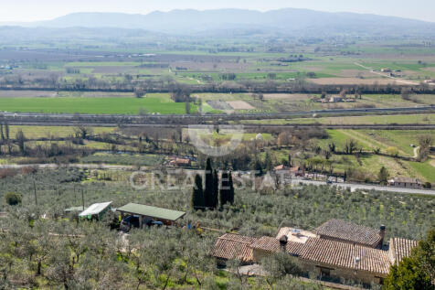Panorama e Particolari