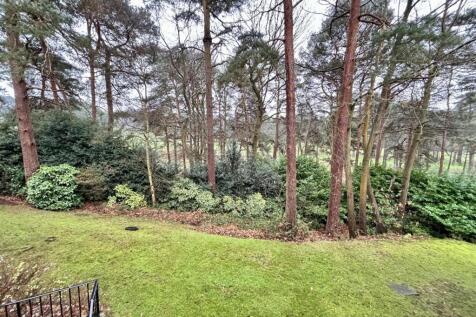 View from Bedroom