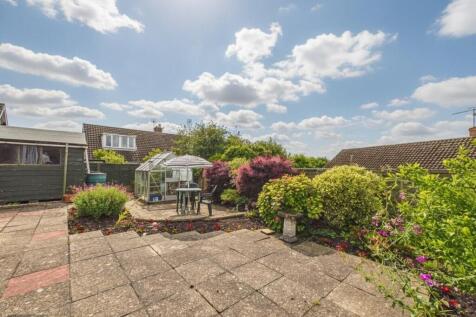 garden sunny 2 .jpg
